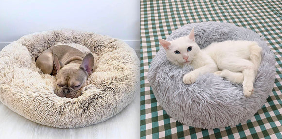 Fluffy Beds